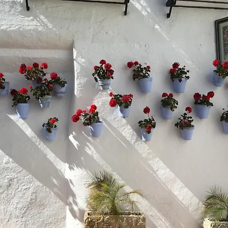 San Miguel Iii -